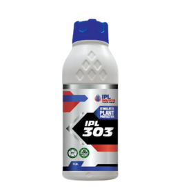 IPL 303