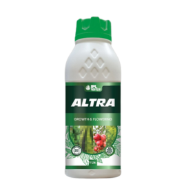 IPL ALTRA