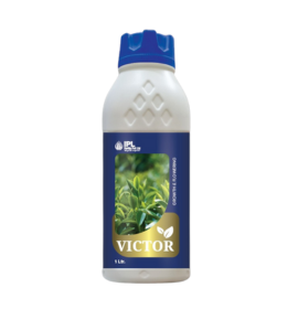 IPL VICTOR